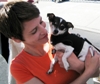 Maddie's Matchmaker Adoptathon Saves 2,601 Lives